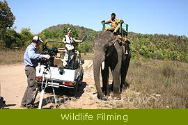 Wildlife Filming & Photographic Expeditions 