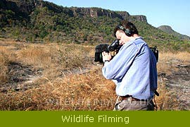 Wildlife Filming & Photographic Expeditions 