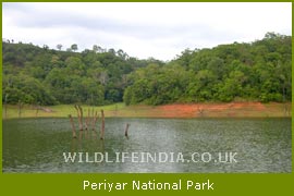 Periyar Wildlife Sanctuary