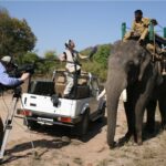 Wildlife Filming Trips