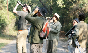 Birding in Bharatpur